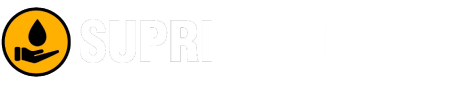 Footer Logo
